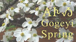 Произношение времен года — британский акцент. Cherokeenation On Twitter Spring Has Officially Sprung Today March 20 2021 Officially Marks The Spring Equinox In The Northern Hemisphere The Cherokee Word For Spring Is Go Ge Yi Syllabary ê­ºê­¸á¹