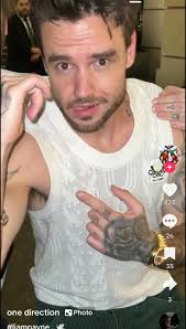 Guy Has Same Tattoos As Liam