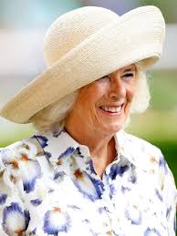 Queen Camilla and Princess Diana's similarities revealed