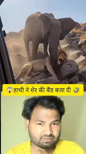 TIGER VS ELEPHANT – UNBELIEVABLE MOMENT ...
