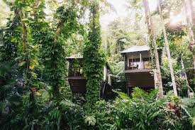 The range and style of accommodation in the cairns northern beaches is extensive to say the least. How To Have The Best Family Holiday In The Daintree Queensland Australia