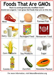 Should The United States Join The European Union On Gmos Gmo Free Food Gmo Foods Genetically Modified Food