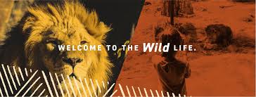 Every step they will uncover something new and amazing, so why don't we explore some of the animals they can meet! Sedgwick County Zoo Home Facebook