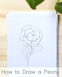 Draw the base for your flower drawing. How To Draw Flowers Step By Step Tutorials For Beginners Jeyram Art