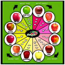 Health Benefits Of Apples And Why Apples Are A Great Food