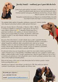 Image result for jurský honič