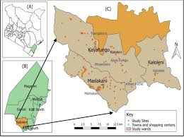 Role Of Livestock Parameters On Cattle Vulnerability To Drought In The Coastal Semi Arid Areas Kenya Biorxiv