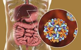 Gegen hepatitis a und b gibt es eine impfung. Leber Mit Infektion Der Hepatitis B Und Grossaufnahme Von Viren Der Hepatitis B Stock Abbildung Illustration Von Hepatitis Behandlung 113824376
