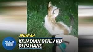 You need a premium account to download new files immediatly without waiting. Isteri Untuk Diiktiraf Episod 19