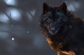 Best wolf wallpaper, desktop background for any computer, laptop, tablet and phone. Dark Wolf Wallpapers Top Free Dark Wolf Backgrounds Wallpaperaccess