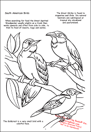 Learn how butterfly wings use ordinary color and structural color. Coloring Books Butterflies And Birds Giant Tablet