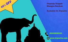 Get 40 Off Tripnetra Assured Quality Services And Secure Booking Get Amazing Deals On Luxury And Budget Hotels Tripnetr Tour Packages Budget Hotel Tours