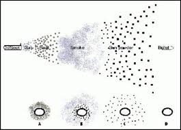 Wound Ballistics Motion And Effects Of Projectiles In The