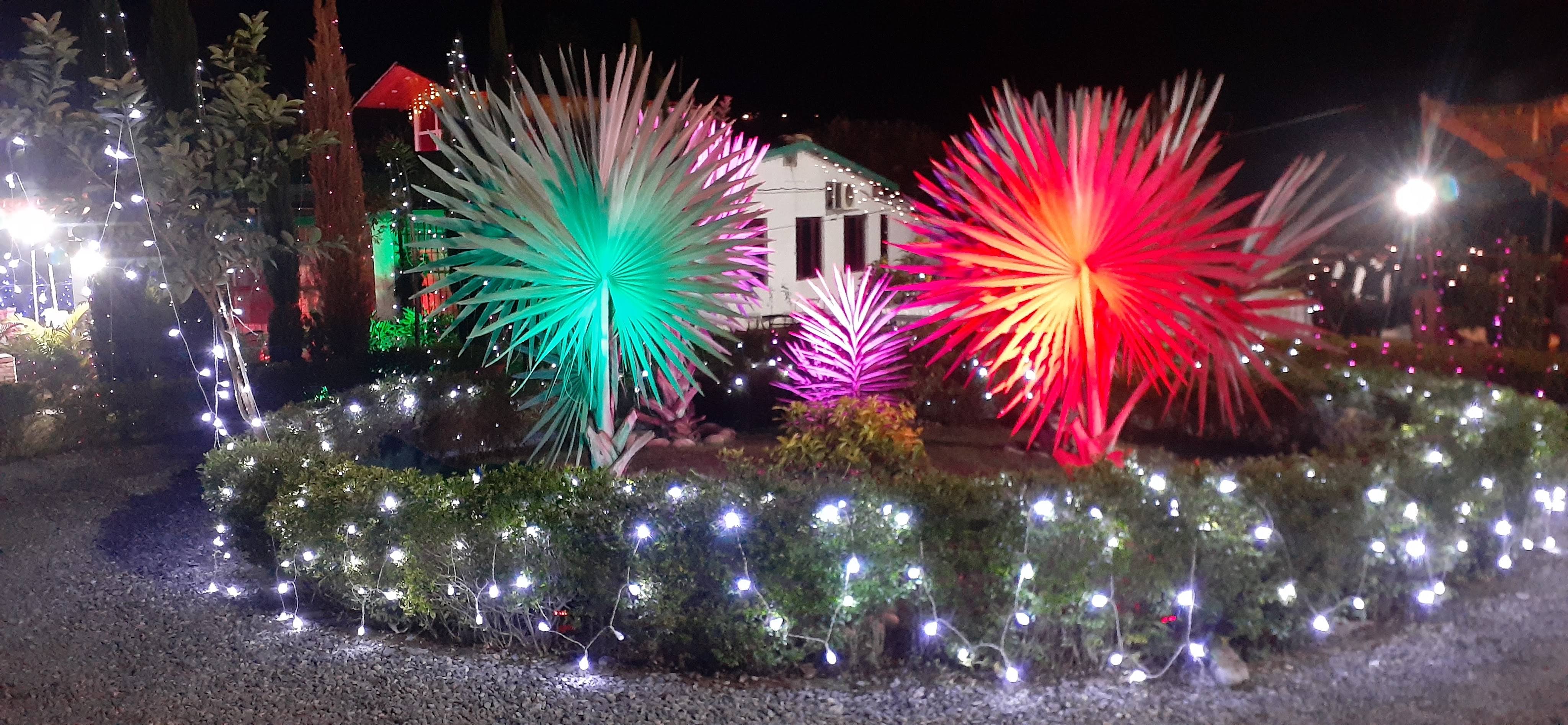 resort decoration product image