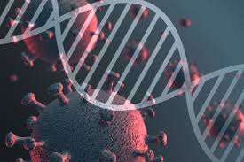 An expression used to express joy over finding a new vaccine for a novel and widespread viral infection. Use Of Bamlanivimab Monoclonal Antibody In Italy For The Treatment Of Covid 19 No Free Of Charge Offer From Eli Lilly Just A Sale Approval Request