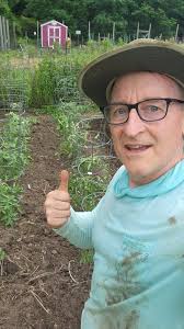 Tomatoes are finally caged at the community garden plot! The weeds are  going crazy, though. Found my first tomato too!