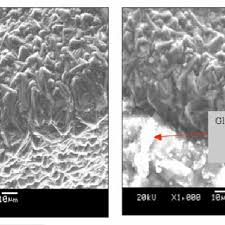 Tcc (total card cut), sometimes refered to as cer, cutting edge retention, which represents the life of the blade by giving a measure of its total cutting ability; Cutting Edge Of Diamond Coated Dental Bur A And After Testing With Download Scientific Diagram