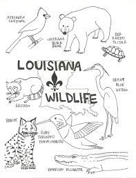 Yoga warm up coloring pages. Louisiana Wildlife Coloring Page Preschool Coloring Pages Flag Coloring Pages Coloring Pages