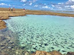 Porto de galinhas is a major tourist destination. O Que Fazer Em Porto De Galinhas Passeios E Dicas Apaixonados Por Viagens Roteiros E Dicas De Turismo