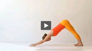This Video Demonstrates One Variation Of Sun Salutation Surya Namasakar A Yoga Videos Yoga Journal Sun Salutation