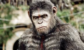 Caesar will be “Ape Moses”? |