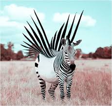 Harry S Harbour Bizarre Animal Photo Manipulation Photoshopped Animals Photo Manipulation