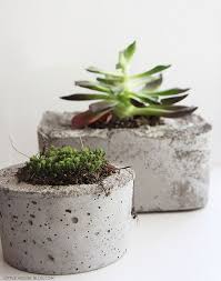 diy ทำกระถางป นใช เองก นเถอะ blisby บล อก ตกแต งสวน การปล กพ ช กระถางต นไม