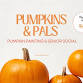 Pumpkins & Pals: Pumpkin Painting Senior Social event image