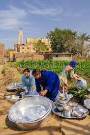Cairo Gold Island Terrance Life In Egypt Old Egypt Cairo Egypt