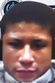 reporte tijuana edicion de 19 de noviembre de 2023