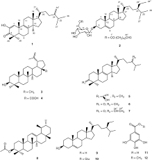 Image result for Klainedoxa