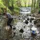 Riverfly Taster Evening - Oxenhope Millennium Green