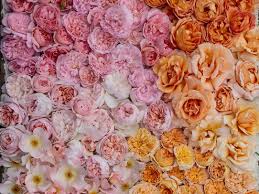 She was introduced to the dinner party in 2015 through her work as a facilitator with the center for courage and renewal under the leadership of parker palmer. How To Arrange Flowers For Your Next Dinner Party Bon Appetit