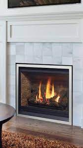The best thing you can do is close your fireplace door, open your flue and trap the bird in your fireplace. 27 Gas Fireplace Inserts Ideas Fireplace Inserts Gas Fireplace Fireplace