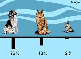 We've studied the market to find the top 5 meatiest, safest, and most trustworthy brands you can buy. Are You A Cat Or Dog Person The Independent The Independent