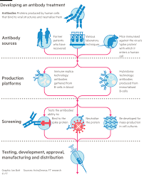 Monoclonal antibodies are just like your body's antibodies but selected for their strong ability to resist the virus. Can Plasma And Antibody Therapies Help As World Awaits Covid 19 Vaccine Free To Read Financial Times