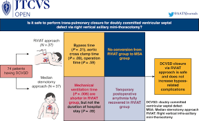 Image result for Ventricular Septal Defect