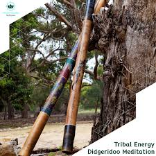 Eucalyptus Wood Didgeridoo Orchestral Style Original Mix Song By Paul Ecstatic Tribal Dance Project Spotify