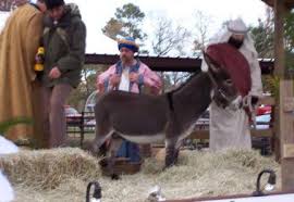 Unlike horses, they won't be interested in get a saddle and other equipment made for donkeys or burros, rather than one for horses. Bible Donkeys Bible Donkeys