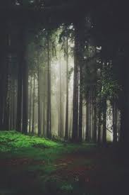 Resultado de imagen para paisajes tenebrosos tumblr