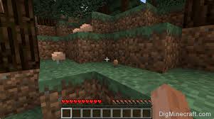 All you really need to establish a mushroom farm is a decently sized area that's dark enough. How To Make A Mushroom Brown In Minecraft