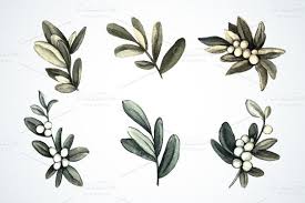 Set Of Christmas Mistletoe Sprigs Christmas Tattoo Flower Tattoo Drawings Mistletoe Drawing