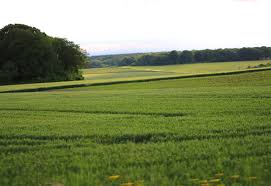Vous pourrez goûter l'espace d'un moment à la qualité de l'environnement et des lieux dans ce cadre aux aménagements pratiques totalement intégrés dans la nature. Le Domaine De Chasse Domaine De La Carmoye Chasse Et Gite Dans L Oise