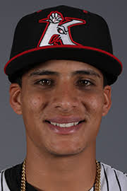 Wilber Pérez minor league baseball statistics