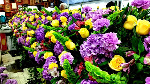 She often tells me about these flowers and she also shows them to me as. Which Flowers Last The Longest