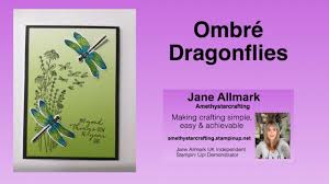 Kitchen remodeling tips ideas for using stampin up punch. Dragonfly Garden Bundle Ombre Card With Tips For Water Colouring The Dragonfly Youtube
