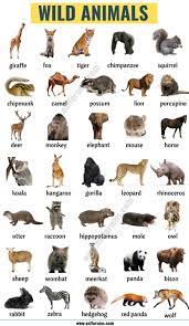 Wild Animals List Of 45 Wild Animals Names In English Animals Name In English Animal Flashcards Wild Animals List