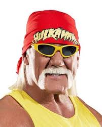 Hulk Hogan WWE