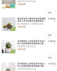 根据四个ex的性格我买了四株盆栽 instagram photo and video photo