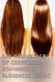 маска для волос для секущихся кончиков в домашних условиях Kak Izbavitsya Ot Sekushihsya Konchikov I Vyushihsya Volos Hair Styles Hair Long Hair Styles